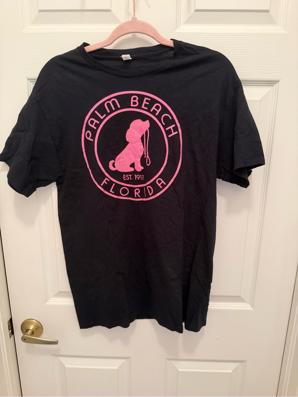 Fruit of the Loom Black Kids Tee with Pink Palm Beach Graphic